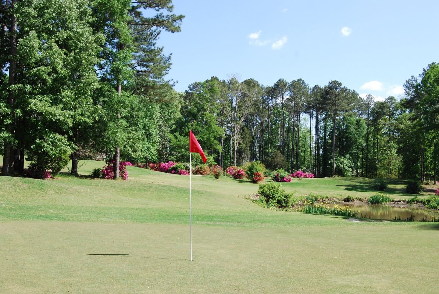 Duncan Park Visit Natchez